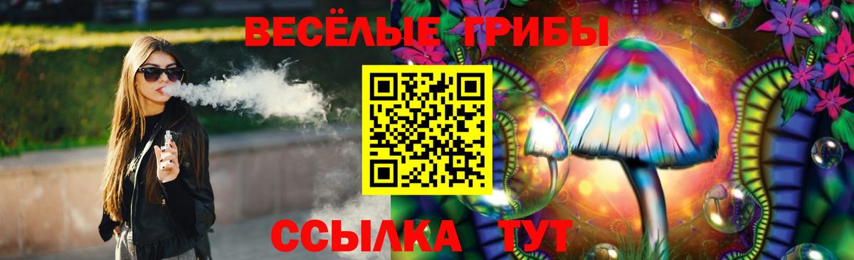 Псилоцибиновые грибы Psilocybine cubensis Вязники